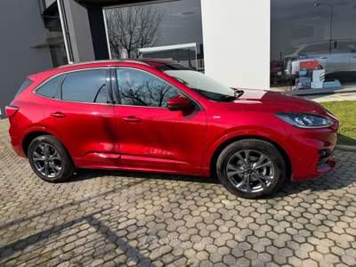 Ford Kuga Kuga 2.5 full hybrid ST-Line 2wd 190cv cvt Rosso usata Ciriè