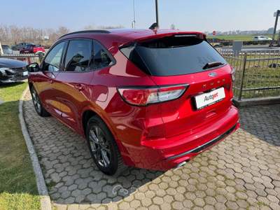 Ford Kuga Kuga 2.5 full hybrid ST-Line 2wd 190cv cvt Rosso usata Ciriè