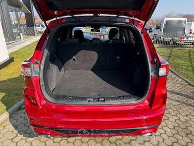 Ford Kuga Kuga 2.5 full hybrid ST-Line 2wd 190cv cvt Rosso usata Ciriè