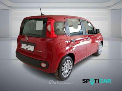 Fiat Panda 1.0 FireFly S&S Hybrid PANDINA ADAS Rosso usata BOLOGNA