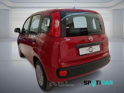 Fiat Panda 1.0 FireFly S&S Hybrid PANDINA ADAS Rosso usata BOLOGNA