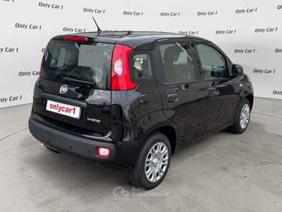 Fiat Panda 1.0 FireFly 70cv S&S Hybrid Rosso usata Comacchio