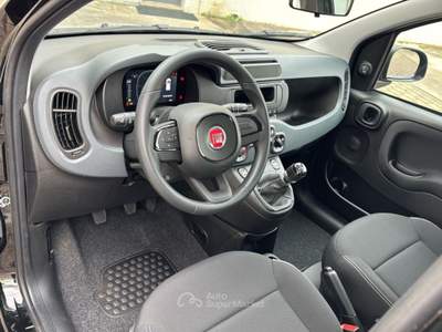 Fiat Panda 1.0 FireFly 70cv S&S Hybrid Rosso usata Comacchio