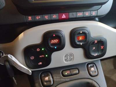 Fiat Panda Panda Cross 0.9 TwinAir Turbo S&S 4x4 Beige usata Roma