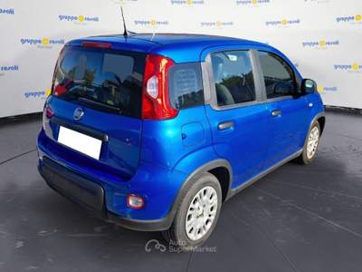 Fiat Panda Serie 7 1.0 70cv HybridPanda Blu/Azzurro usata Roma
