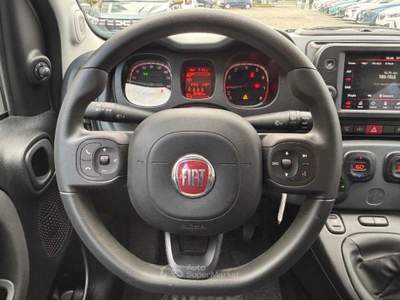Fiat Panda My24 1.0 70cv Hybrid Panda Bianco usata Roma