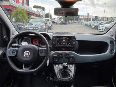 Fiat Panda My24 1.0 70cv Hybrid Panda Bianco usata Roma