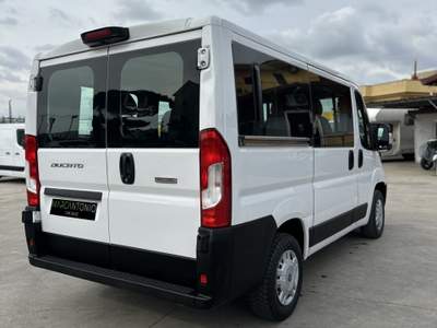Fiat Ducato Panorama Bianco usata Caivano