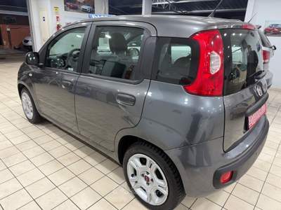 Fiat Panda 2018 Grigio usata Qualiano