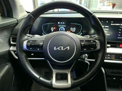 Kia Sportage MHEV 163cv Business 2022 Grigio usata Cerignola