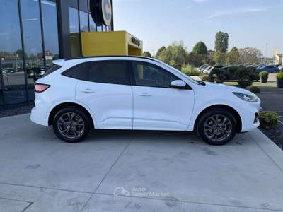 Ford Kuga 2.5 Plug In Hybrid 225 CV CVT 2WD ST-Line X Bianco usata Pieve di Cento