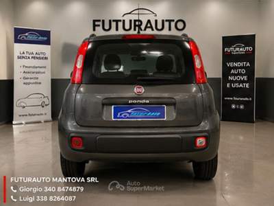 Fiat Panda FIAT PANDA 1.0 IBRIDO SPORT Grigio usata MANTOVA