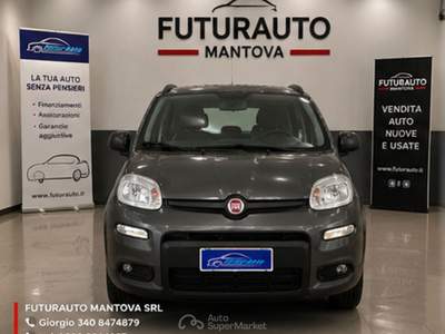 Fiat Panda FIAT PANDA 1.0 IBRIDO SPORT Grigio usata MANTOVA