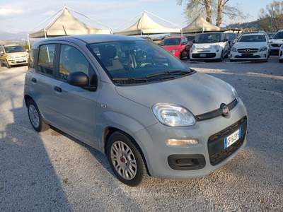 Fiat Panda FireFly S&S Hybrid Giallo usata Ponzano Romano