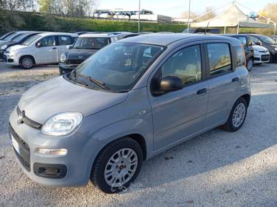 Fiat Panda FireFly S&S Hybrid Giallo usata Ponzano Romano