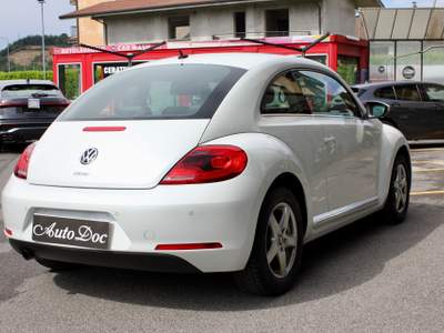 Volkswagen Maggiolino