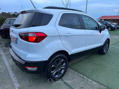 Ford EcoSport Ford EcoSport Bianco usata Giovinazzo