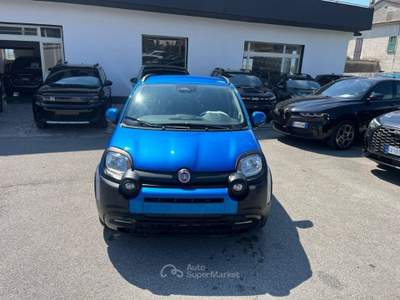 Fiat Panda 1.0 FireFly S&S Hybrid Blu/Azzurro usata Alife