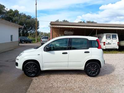 Fiat Panda Tenuta sempre in box,unico propretario usata Grosseto