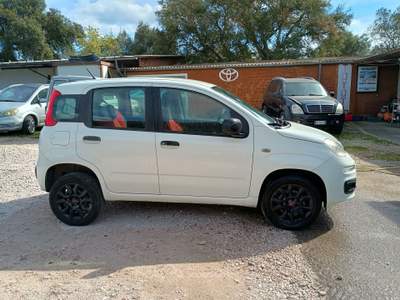 Fiat Panda Tenuta sempre in box,unico propretario usata Grosseto