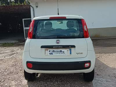 Fiat Panda Tenuta sempre in box,unico propretario usata Grosseto