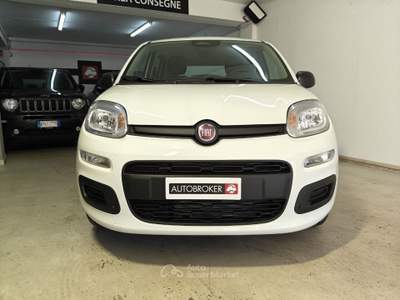 Fiat Panda Panda 1.0 FireFly S&S Hybrid Pop Bianco usata RENDE