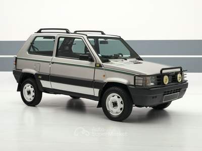 Fiat Panda 1100 i.e. cat 4x4 - Fortuna Edition Grigio usata Bassano del Grappa