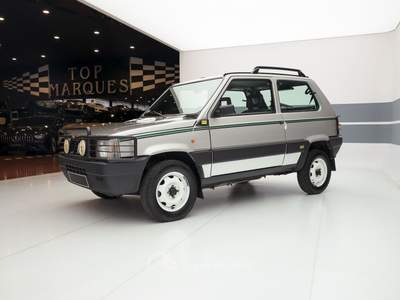 Fiat Panda 1100 i.e. cat 4x4 - Fortuna Edition Grigio usata Bassano del Grappa