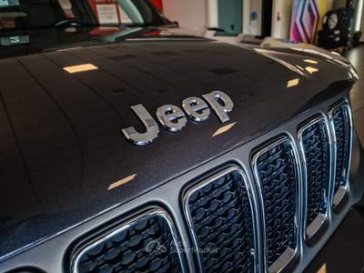Jeep Renegade 2019 1.6 mjt Business 2wd 120cv ddct Grigio usata Mappano