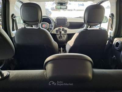 Fiat Panda Cross 1.0 FireFly Hybrid 2025 km 17244 Verde usata Parete