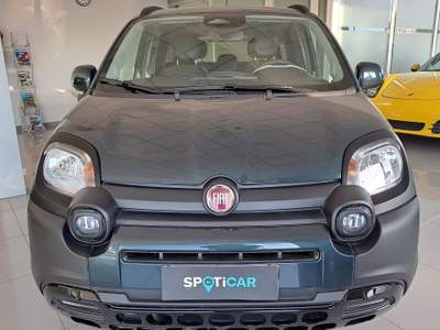 Fiat Panda Cross 1.0 FireFly Hybrid 2025 km 17244 Verde usata Parete