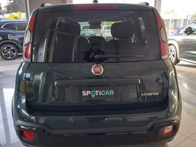 Fiat Panda Cross 1.0 FireFly Hybrid 2025 km 17244 Verde usata Parete