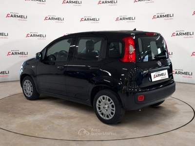 Fiat Pandina 1.0 FireFly Hybrid Pop Nero usata Coccaglio