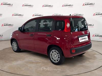 Fiat Pandina 1.0 FireFly Hybrid Pop Rosso usata Coccaglio