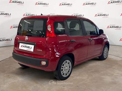 Fiat Pandina 1.0 FireFly Hybrid Pop Rosso usata Coccaglio