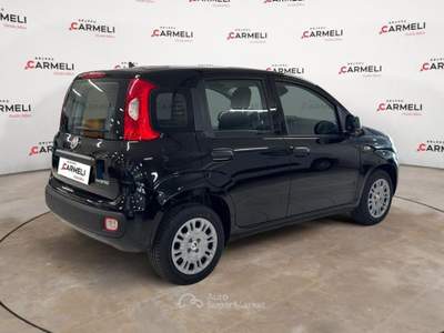 Fiat Pandina 1.0 FireFly Hybrid Pop Nero usata Coccaglio
