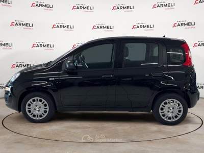 Fiat Pandina 1.0 FireFly Hybrid Pop Nero usata Coccaglio