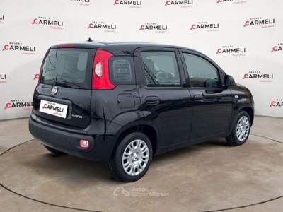 Fiat Pandina 1.0 FireFly Hybrid Pop Nero usata Coccaglio