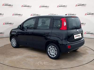 Fiat Pandina 1.0 FireFly Hybrid Pop Nero usata Coccaglio
