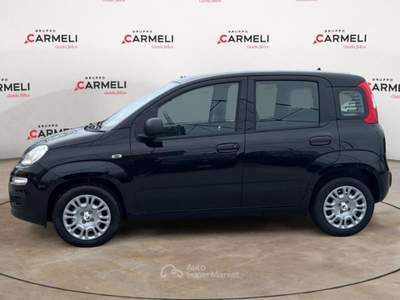 Fiat Pandina 1.0 FireFly Hybrid Pop Nero usata Coccaglio