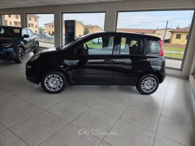 Fiat Panda km0 Nero usata Cento