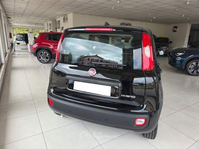 Fiat Panda km0 Nero usata Cento