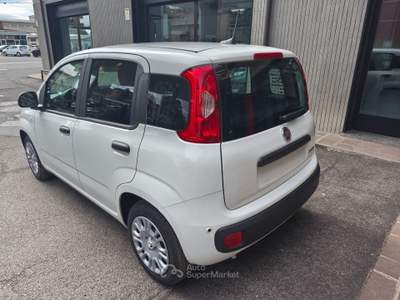Fiat Pandina Panda 1.0 Mild/Hybrid Icon VARI COLORI/NO VINCOLI Bianco usata Meda
