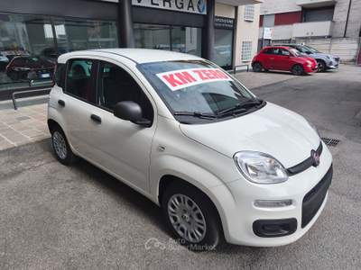 Fiat Pandina Panda 1.0 Mild/Hybrid Icon VARI COLORI/NO VINCOLI Bianco usata Meda