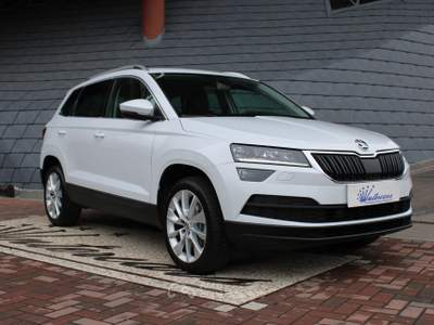 Skoda Karoq 1.6 TDI SCR DSG Style Bianco usata Denno