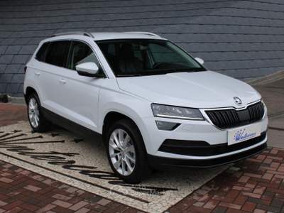 Skoda Karoq 1.6 TDI SCR DSG Style Bianco usata Denno