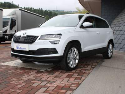 Skoda Karoq 1.6 TDI SCR DSG Style Bianco usata Denno