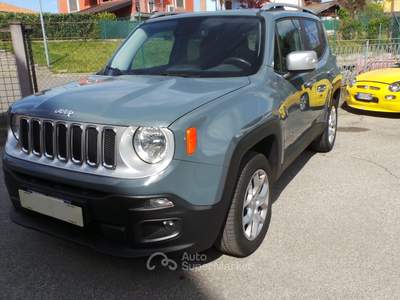 Jeep Renegade 4x4 tutta tagliandata Grigio usata Dormelletto
