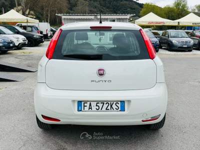 Fiat Punto II 75 CV 5 porte Lounge Bianco usata Massarosa