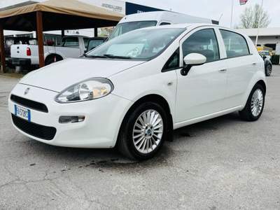 Fiat Punto II 75 CV 5 porte Lounge Bianco usata Massarosa